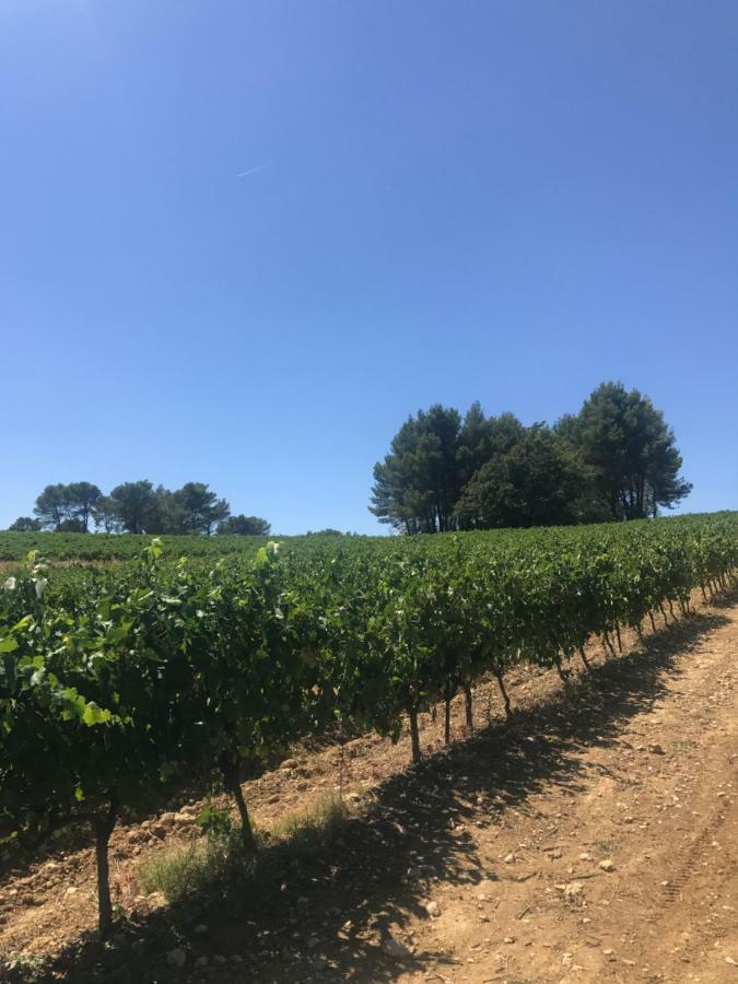 Bastide Bellugue Maison D'Hotes Reseau Bienvenue A La Ferme A 3 Minutes De Lourmarin Кадне Экстерьер фото