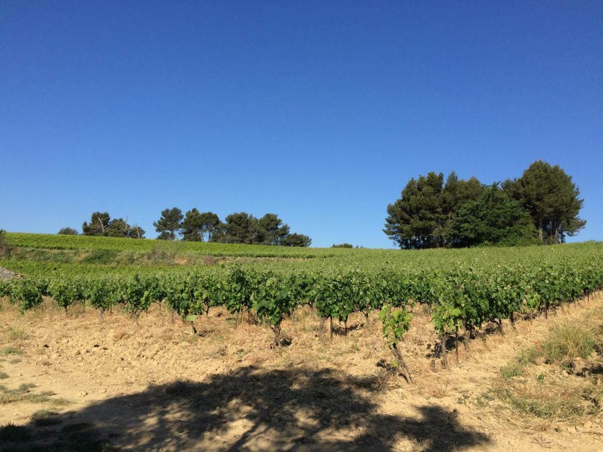Bastide Bellugue Maison D'Hotes Reseau Bienvenue A La Ferme A 3 Minutes De Lourmarin Кадне Экстерьер фото