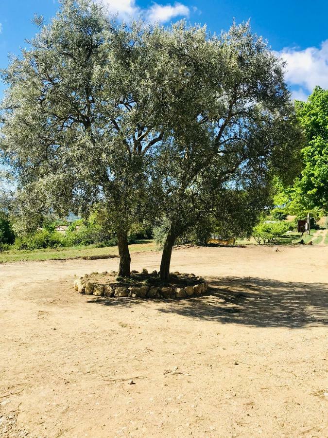 Bastide Bellugue Maison D'Hotes Reseau Bienvenue A La Ferme A 3 Minutes De Lourmarin Кадне Экстерьер фото